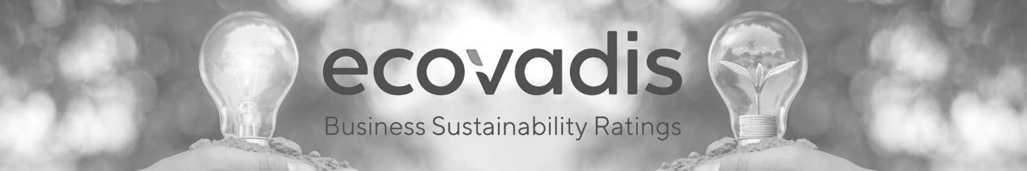EcoVadis